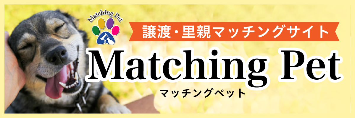 マッチングペット